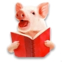 Profile Image for Erin.