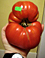 Profile Image for Sara.
