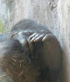 Profile Image for Maureen.