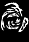 Profile Image for Steve Lew.