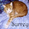 Profile Image for Surreysmum.