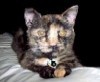 Profile Image for Nellie.