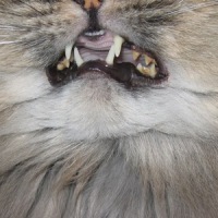 Profile Image for Helen.