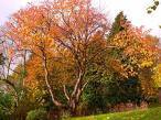 Profile Image for Autumn.
