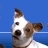 Profile Image for Tony.