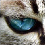 Profile Image for Alex.