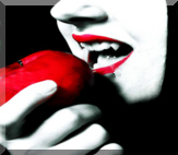 Profile Image for Kristin - *Nocturnal Bites*.