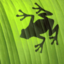 Profile Image for Shannon.