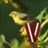 Profile Image for Ieva.