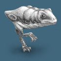 Profile Image for Kevin.