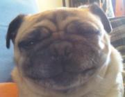 Profile Image for Nellie.