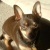Profile Image for Kathryn Dayfield zakrzewski.
