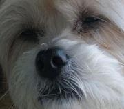 Profile Image for Michael.