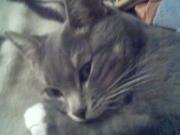 Profile Image for Suki St Charles.