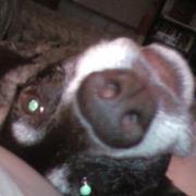 Profile Image for Jen Weston.