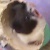 Profile Image for Vicki Carter.