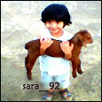 Profile Image for Sara Mohamed.