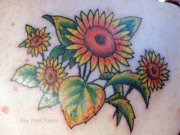 Profile Image for Tracy Crabtree.