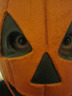 Profile Image for Jason McNamara.