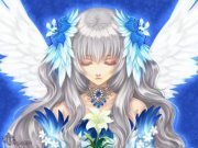 Profile Image for Dara Grey.