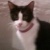 Profile Image for Sandra Matthews.