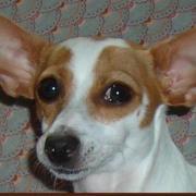 Profile Image for Jackie Locke.