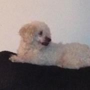 Profile Image for Gail Ellis.