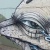 Profile Image for Andy Cutright.