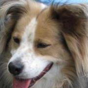 Profile Image for Elizabeth.