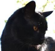 Profile Image for Barbara Gray.