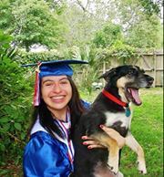 Profile Image for Julie Hogan.