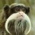 Profile Image for Nicholas Pokorny.