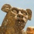 Profile Image for Ivo Moyersoen.