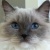 Profile Image for Pam.