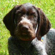 Profile Image for Barbara.