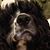 Profile Image for Tarah Luke.