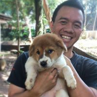 Profile Image for Dolly Putra.