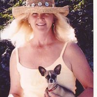 Profile Image for donna terry.