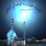 Profile Image for shamimemahdy.