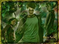 Profile Image for Pottermnm Montse.