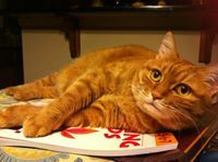 Profile Image for Zhiyi Zhang.