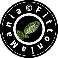 Profile Image for Yk.