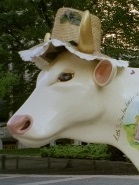 Profile Image for Heather L .