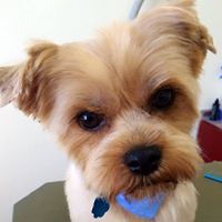 Profile Image for Kenneth Weber.