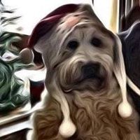 Profile Image for JIM C.