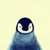 Profile Image for Corinne.