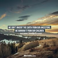 Profile Image for Lisa Padilla.