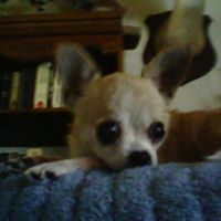 Profile Image for Denise munnerlyn.