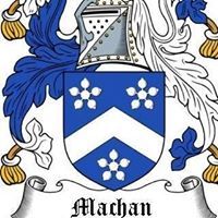 Profile Image for Anna Machan.