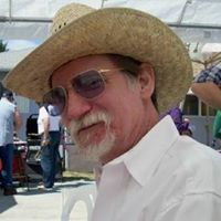 Profile Image for David Lamberti.